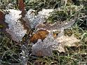 2012-02-01, Eisstrukturen (7)
